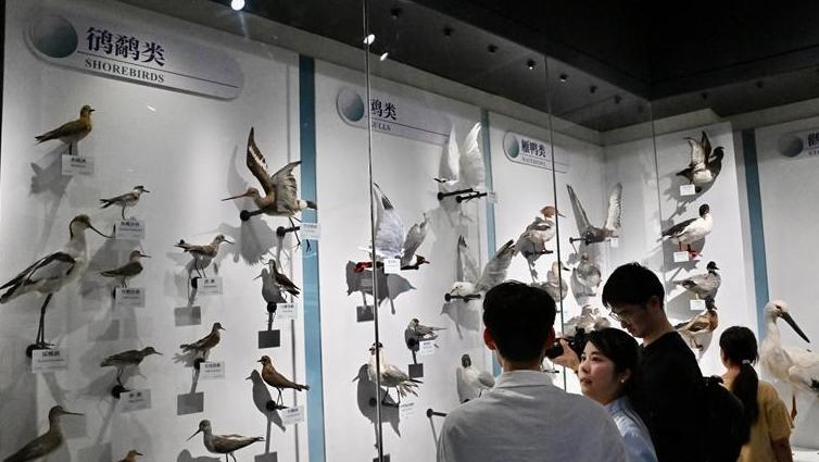 闽江河口湿地博物馆开展启新科普活动