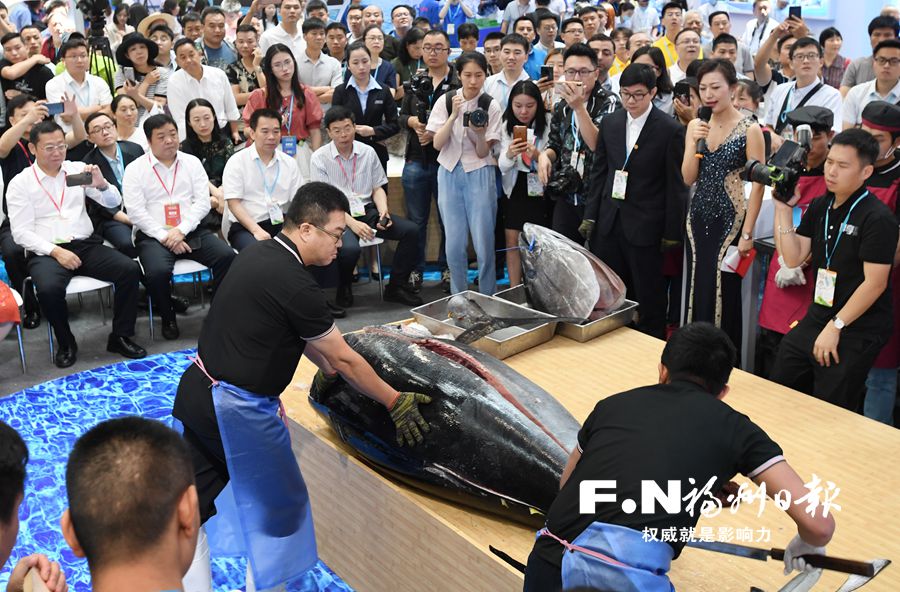 吃完一颗278公斤鱼丸要多久?渔博会现场众人给出的答案是2小时